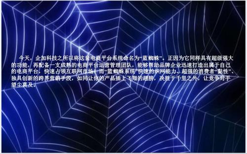 "蓝蜘蛛"商城系统分解.ppt -max上传文档投稿赚钱-文档c2c交易模式-10